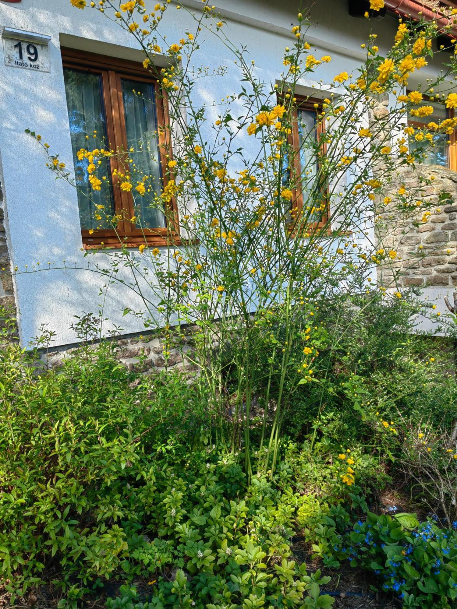 Hanga Vendeghaz Tihany Exterior foto